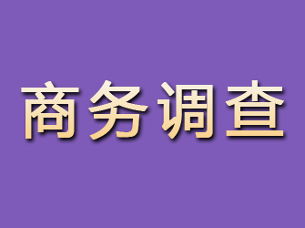 韶山商务调查